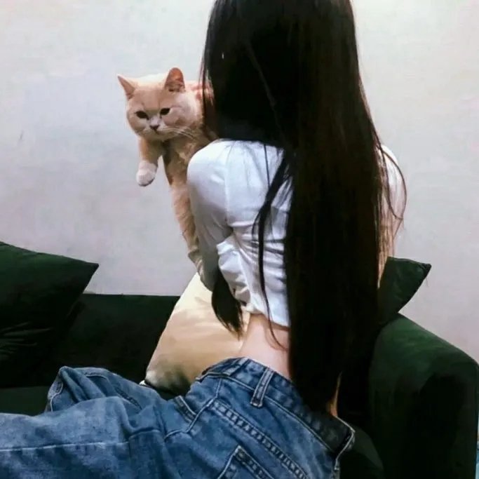 郊区的鸟